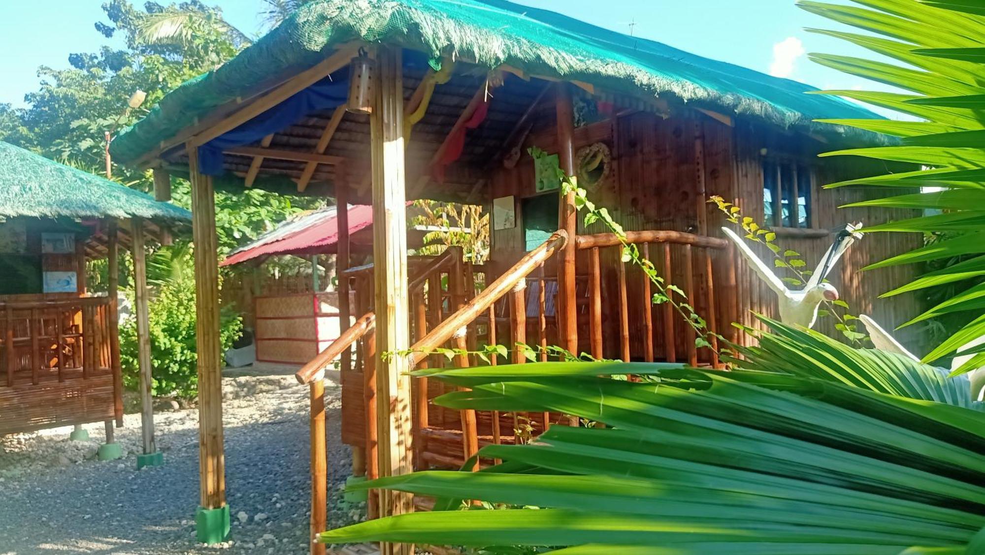 Moalboal Bamboo House / Rooms المظهر الخارجي الصورة