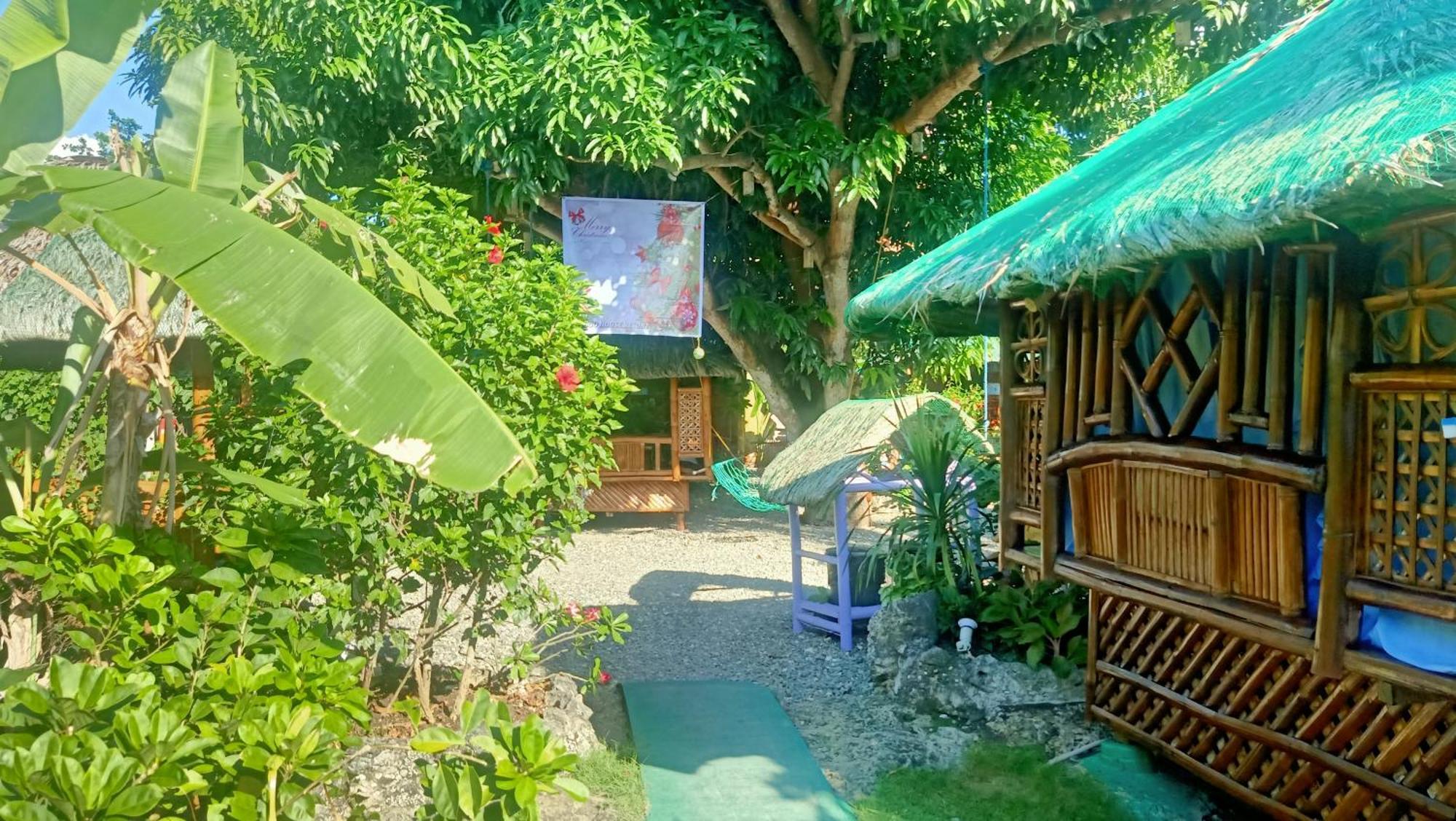 Moalboal Bamboo House / Rooms المظهر الخارجي الصورة