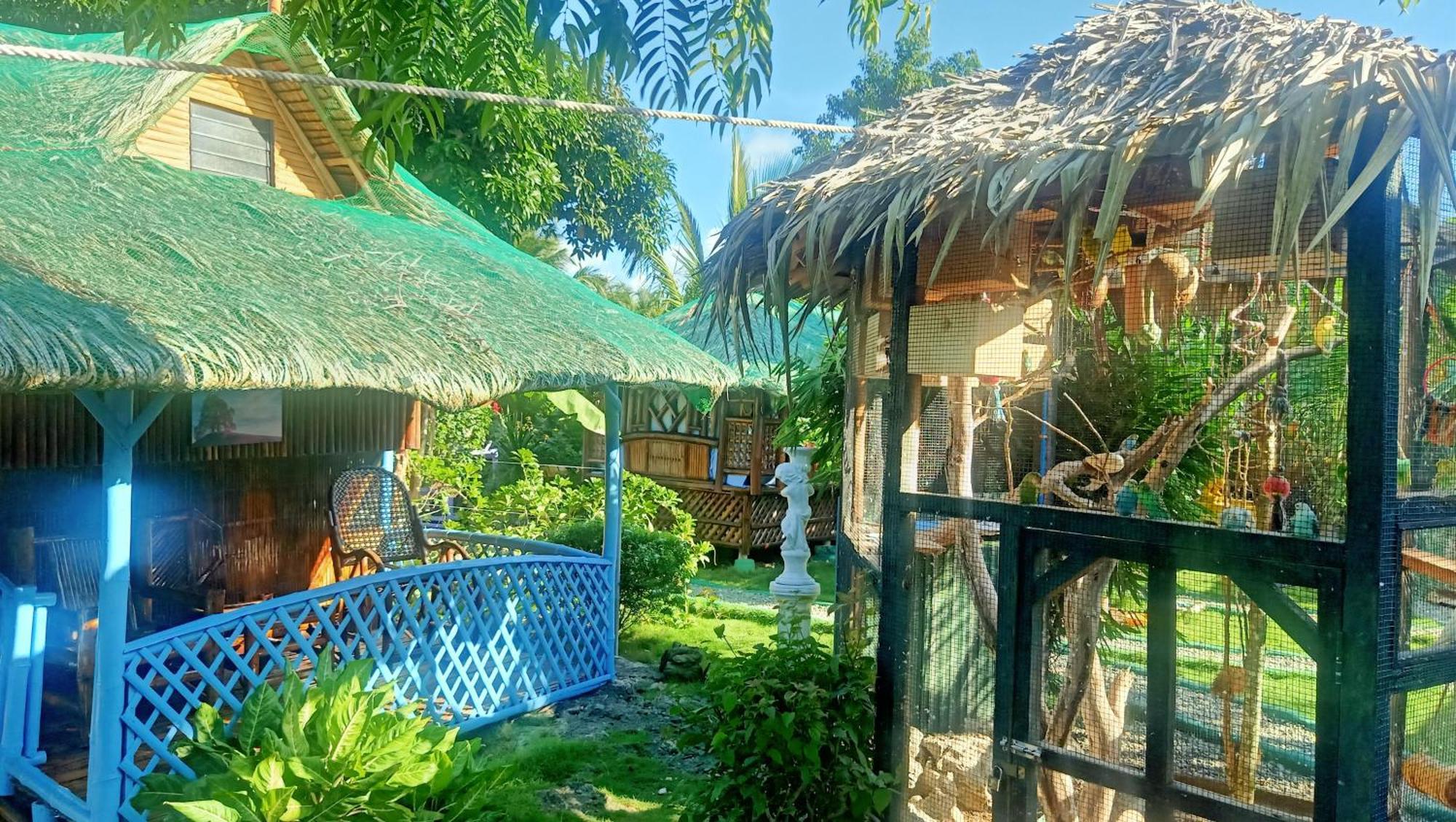 Moalboal Bamboo House / Rooms الغرفة الصورة